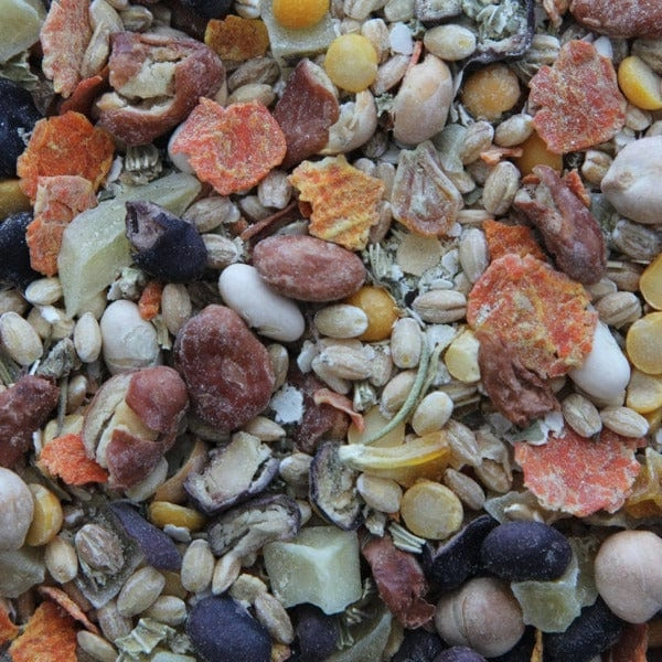Higgins Worldly Cuisines Inca Bean Salad Bird Food Appetizer