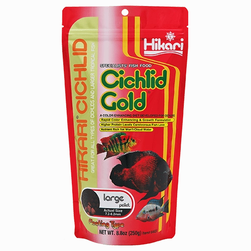 Hikari Cichlid Gold Floating Pellet