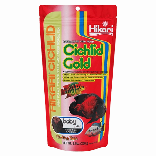 Hikari Cichlid Gold Floating Pellet