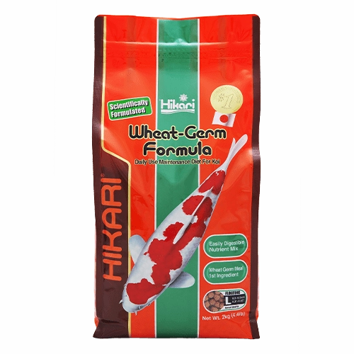 Hikari Koi Wheat Germ Floating Pellet