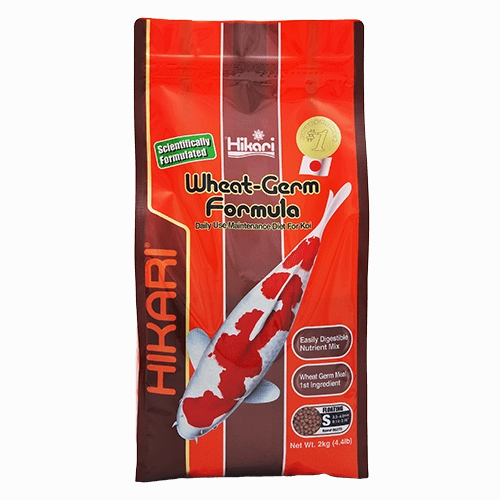 Hikari Koi Wheat Germ Floating Pellet