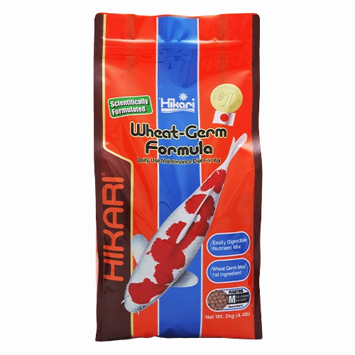 Hikari Koi Wheat Germ Floating Pellet