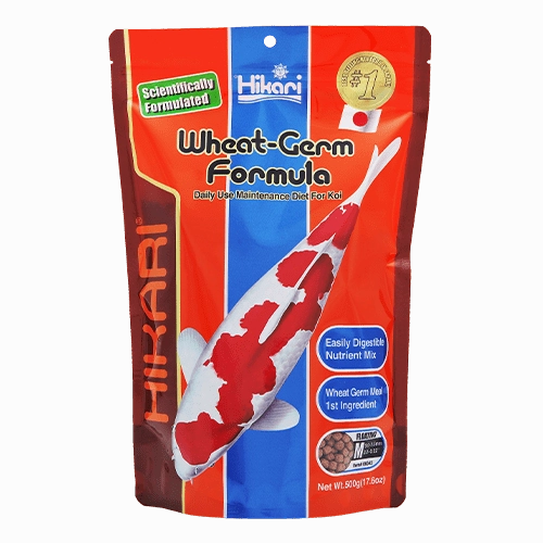 Hikari Koi Wheat Germ Floating Pellet