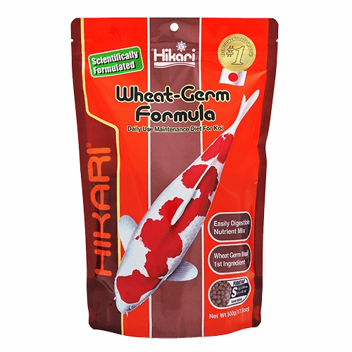 Hikari Koi Wheat Germ Floating Pellet