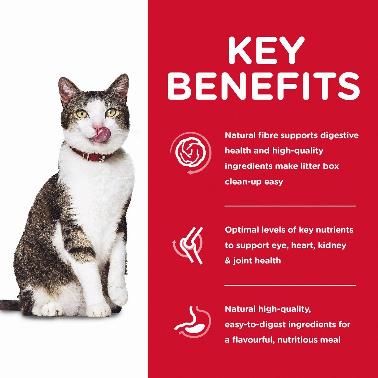 Hill's Science Diet Cat Food Adult 11  Indoor