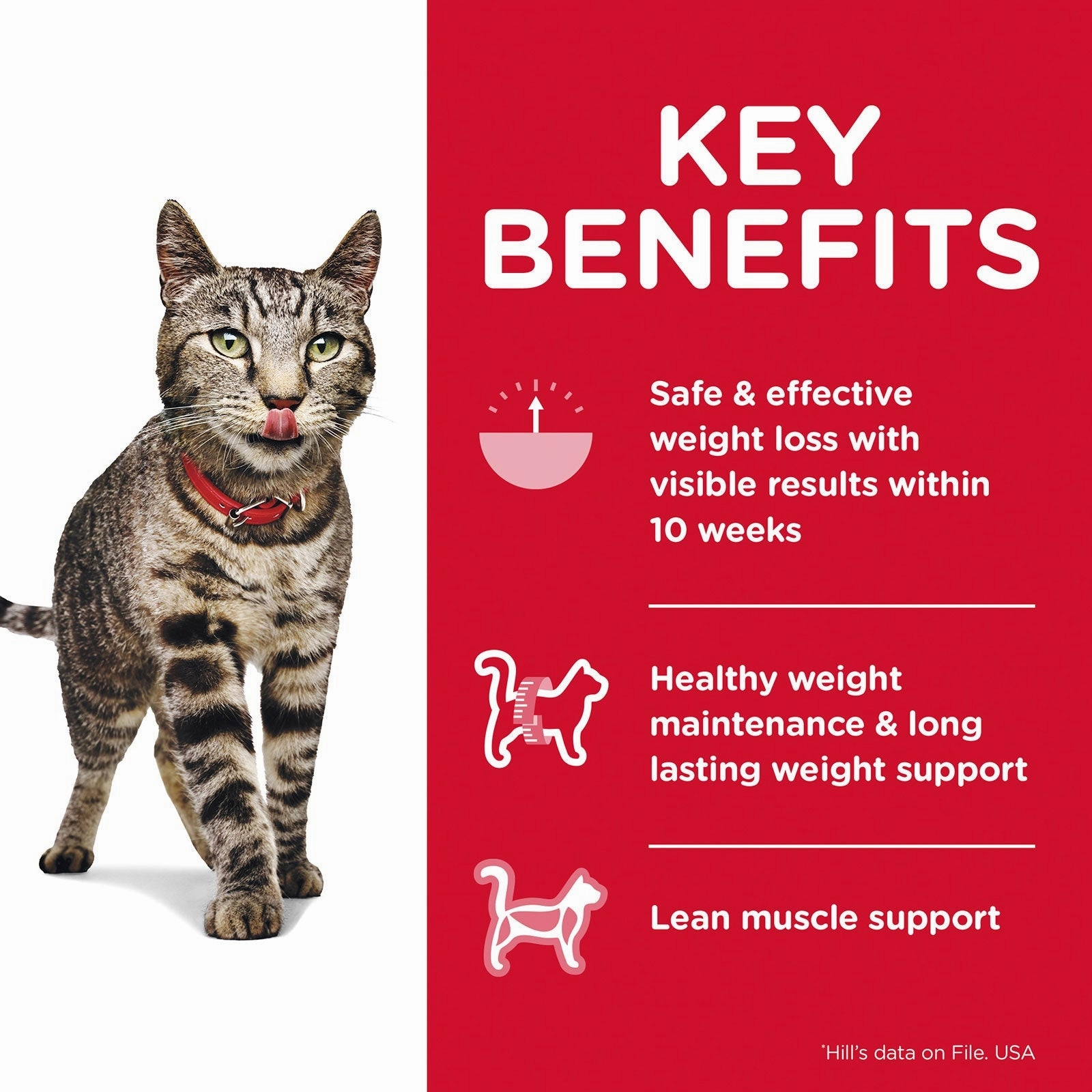 Hill's Science Diet Cat Food Pouch Adult Perfect Weight Salmon