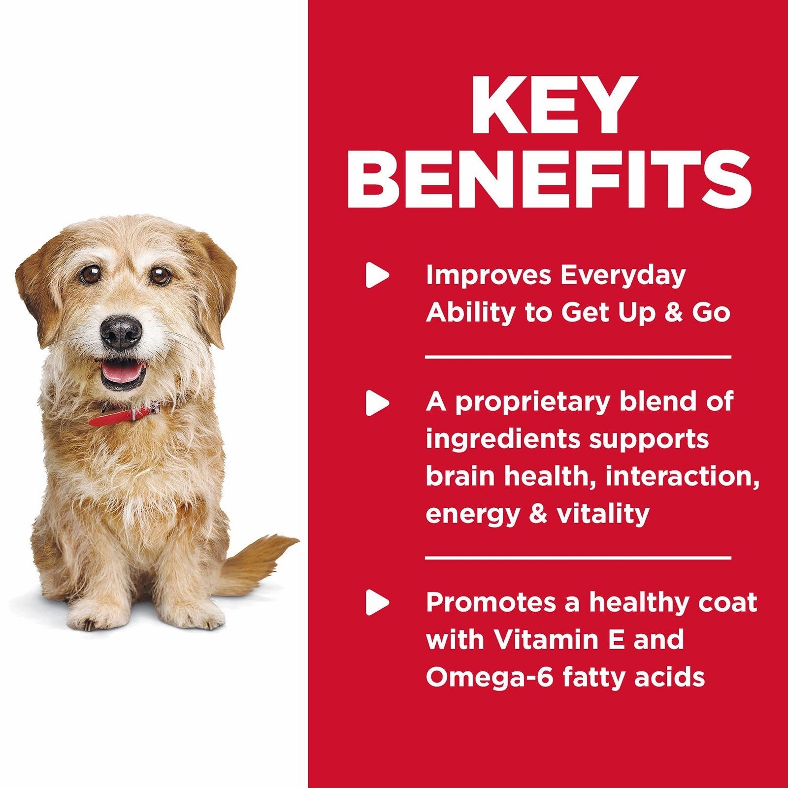 Hill's Science Diet Dog Food Adult 7  Senior Vitality Small & Mini Senior