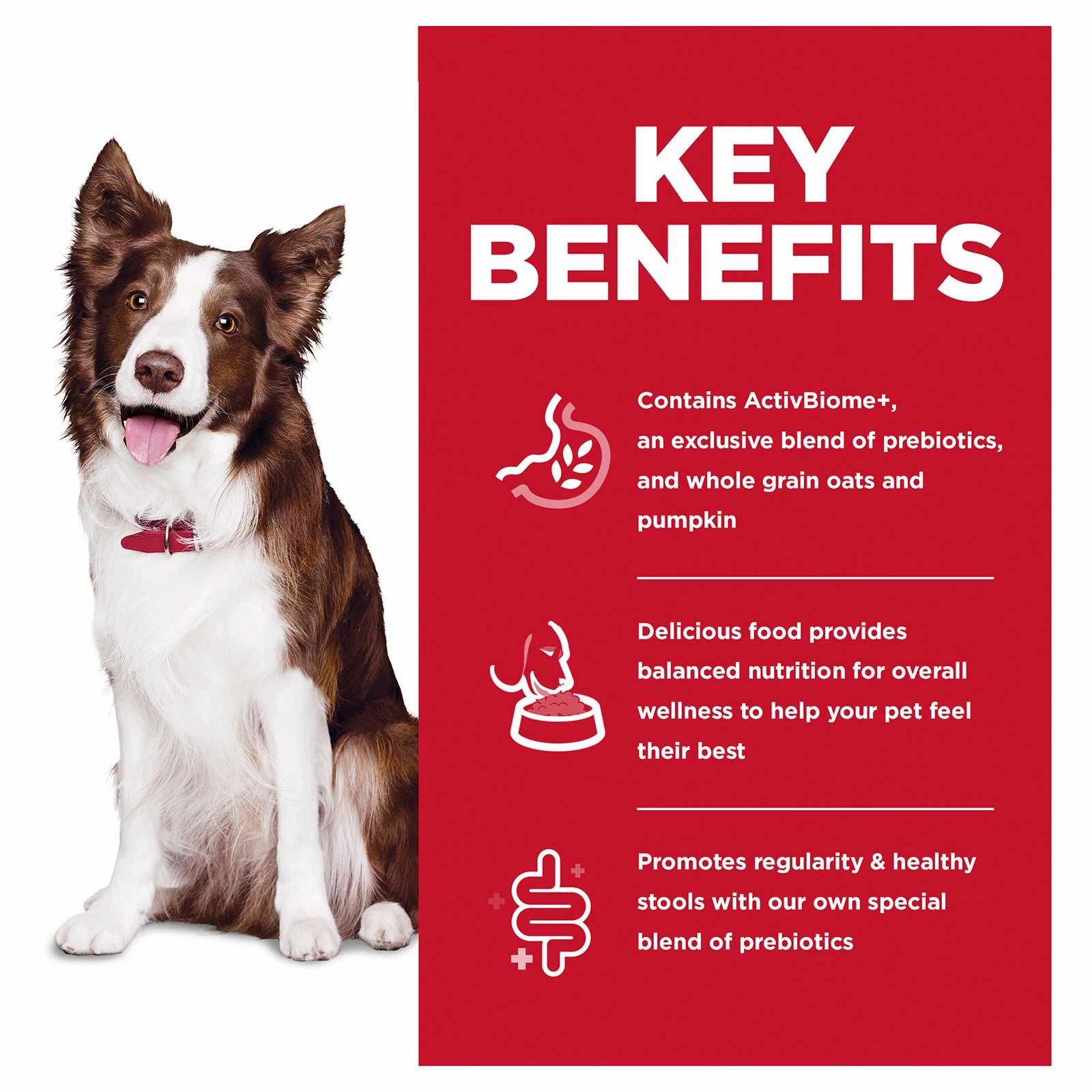 Hill's Science Diet Dog Food Adult Perfect Digestion