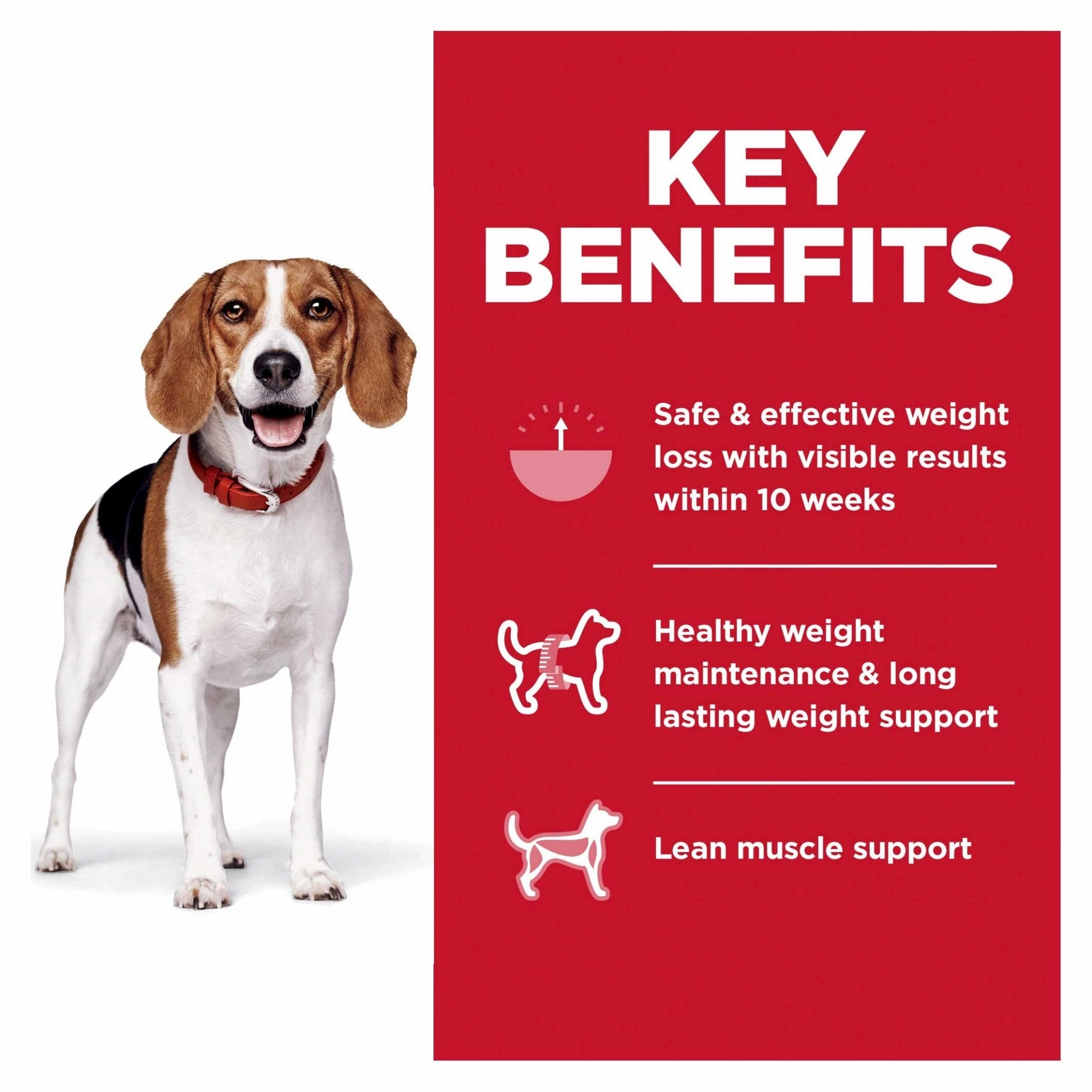 Hill's Science Diet Dog Food Adult Perfect Weight Small Bites