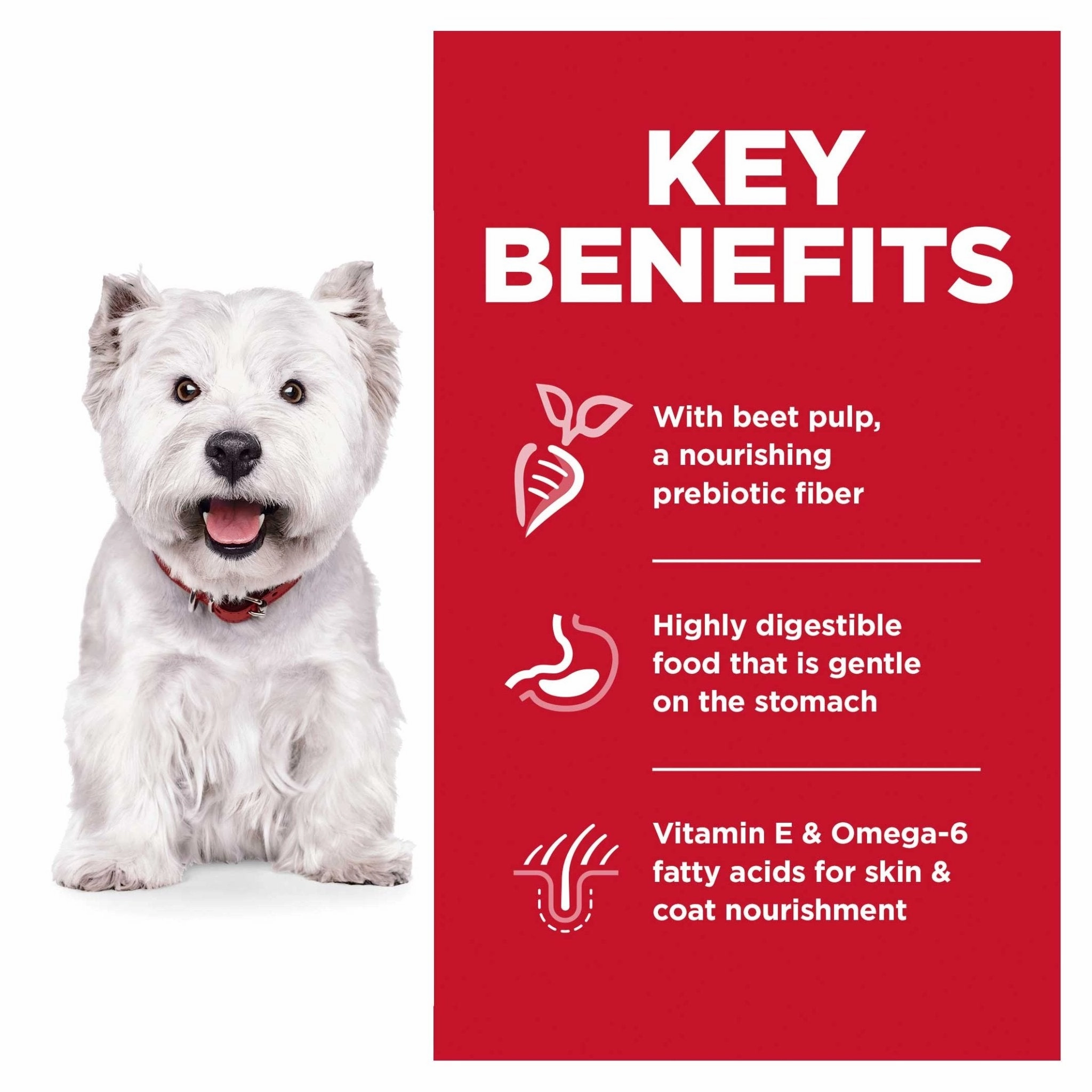 Hill's Science Diet Dog Food Adult Sensitive Stomach & Skin Small Bites