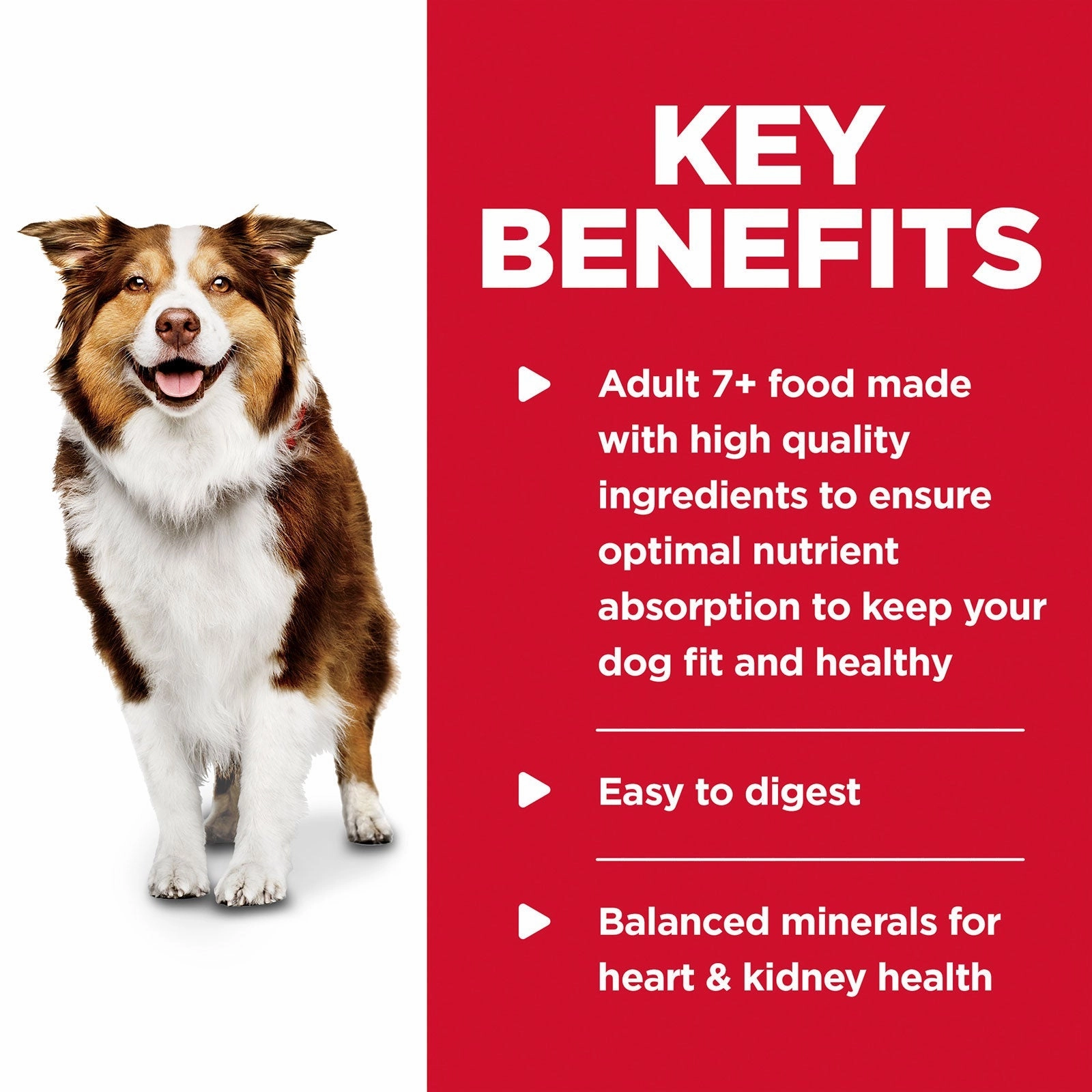 Hill's Science Diet Dog Food Can Adult 7  Chicken & Barley Entre