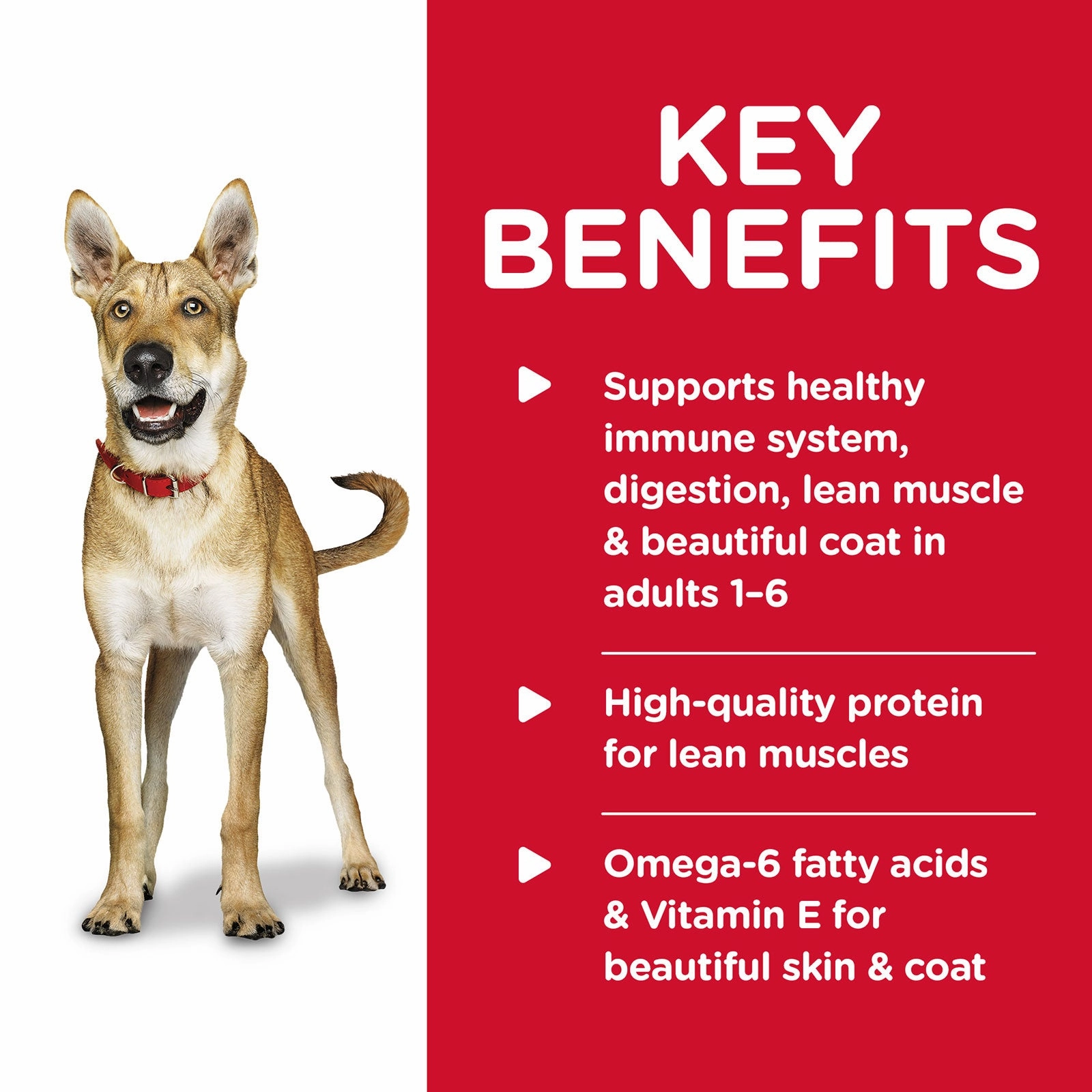 Hill's Science Diet Dog Food Can Adult Beef & Barley Entre
