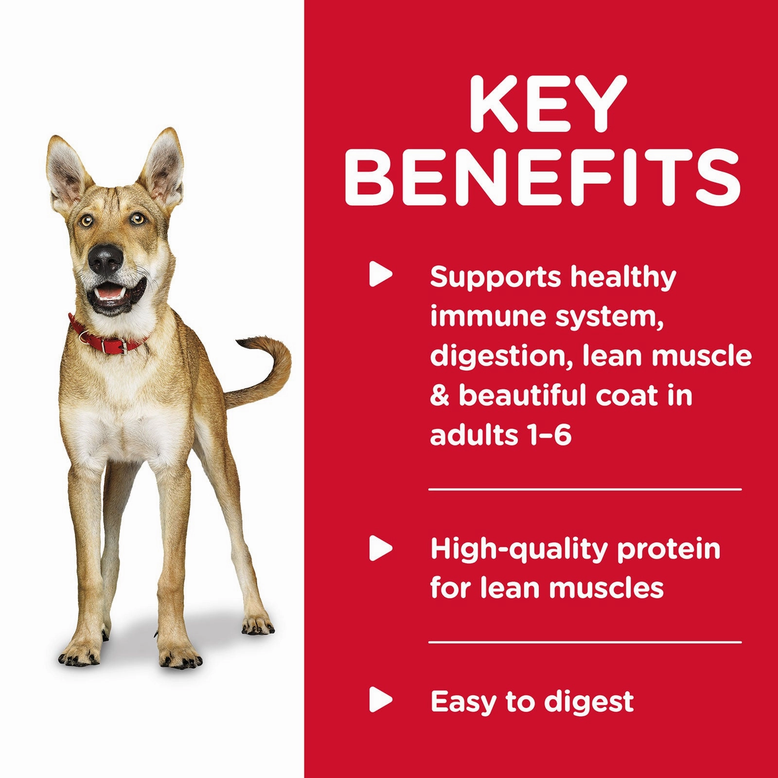 Hill's Science Diet Dog Food Can Adult Savoury Stew with Chicken & Vegetables