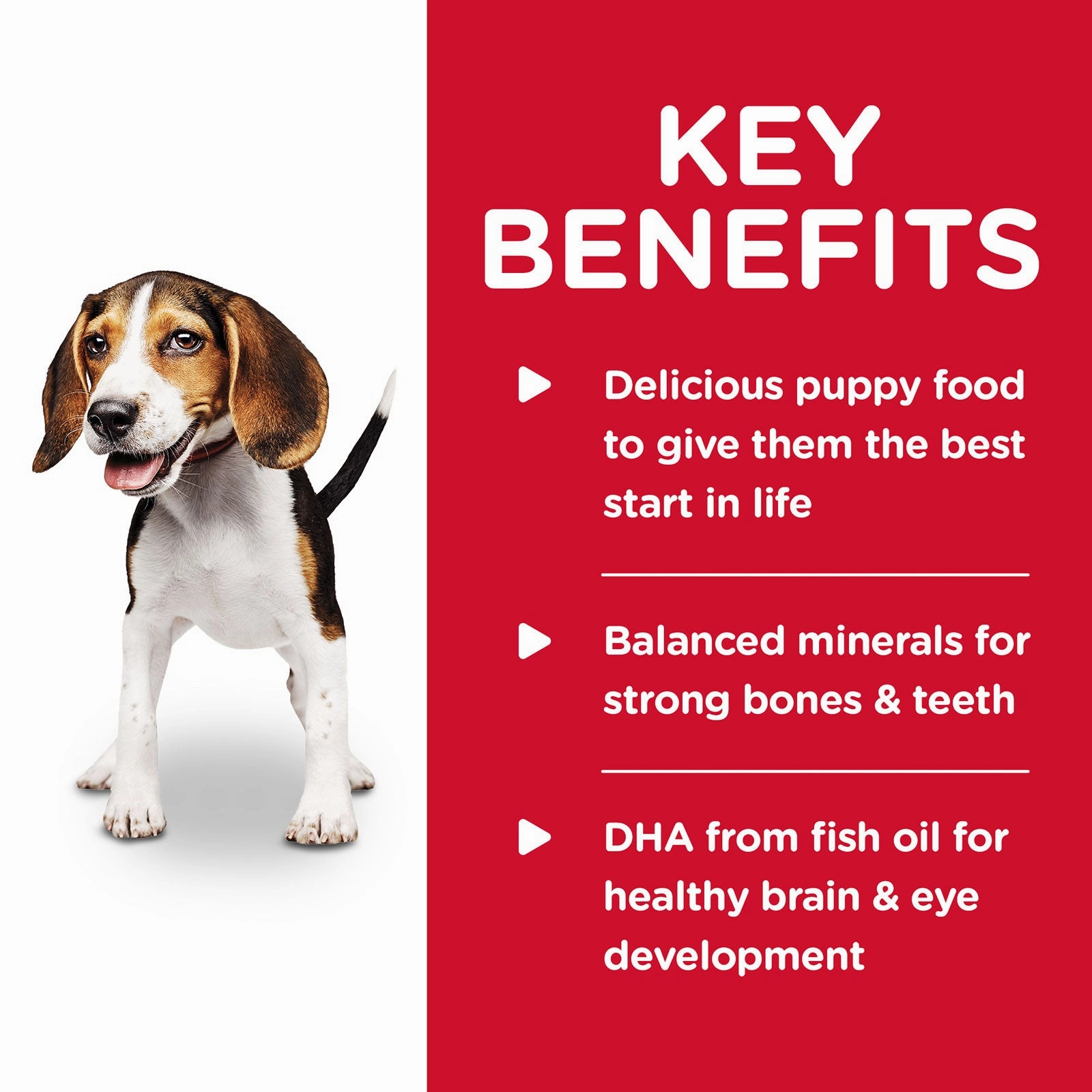 Hill's Science Diet Dog Food Can Puppy Chicken & Barley Entre