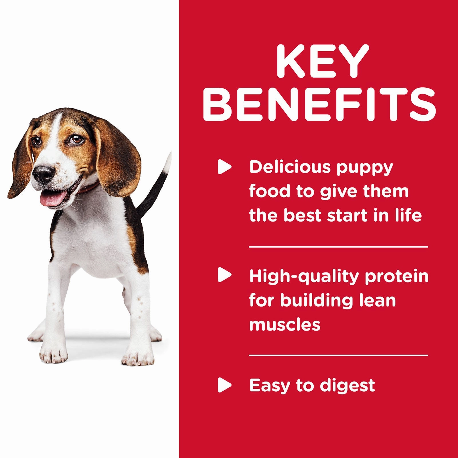 Hill's Science Diet Dog Food Can Puppy Savoury Stew Chicken & Vegetables