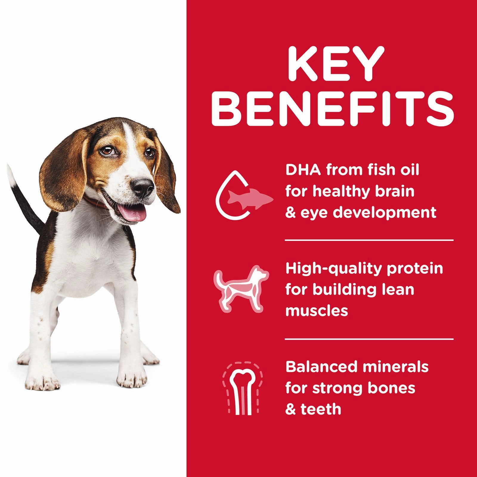 Hill's Science Diet Dog Food Puppy