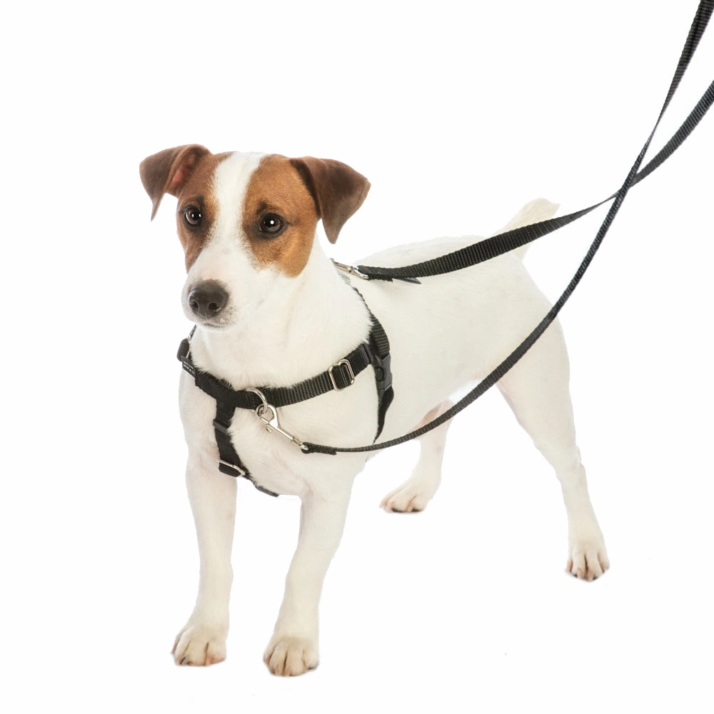 Holiday Cookies Christmas EarthStyle Freedom No-Pull Dog Harness