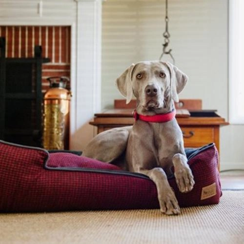 Houndstooth Lounge Dog Bed Cayenne Red