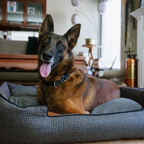 Houndstooth Lounge Dog Bed Shadow Grey