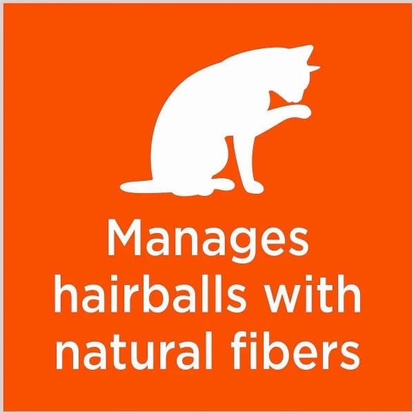 IAMS Proactive Health Adult Hairball Care Dry Cat Food