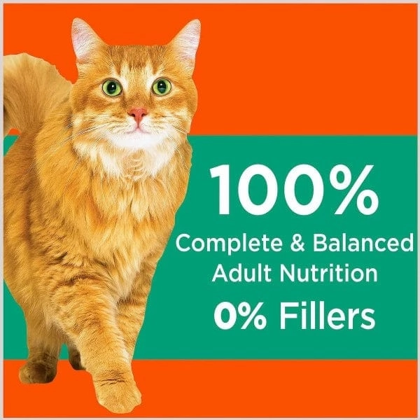 IAMS Proactive Health Adult Hairball Care Dry Cat Food