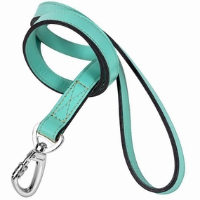 Imperial Collection Dog Leash Turquoise/Blue Zircon/Nickel