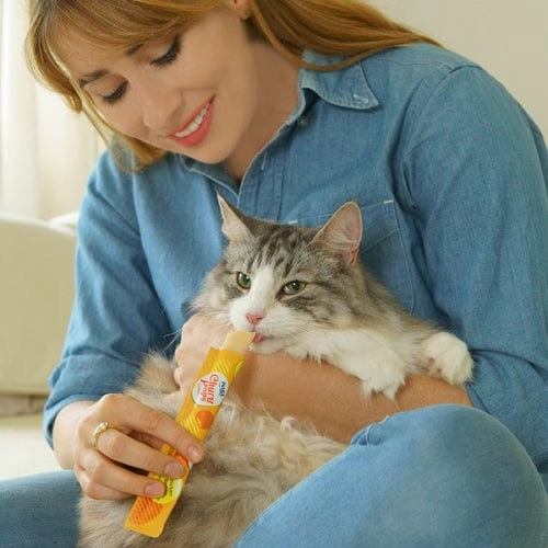 Inaba Churu Pops Chicken Recipe Cat Treat