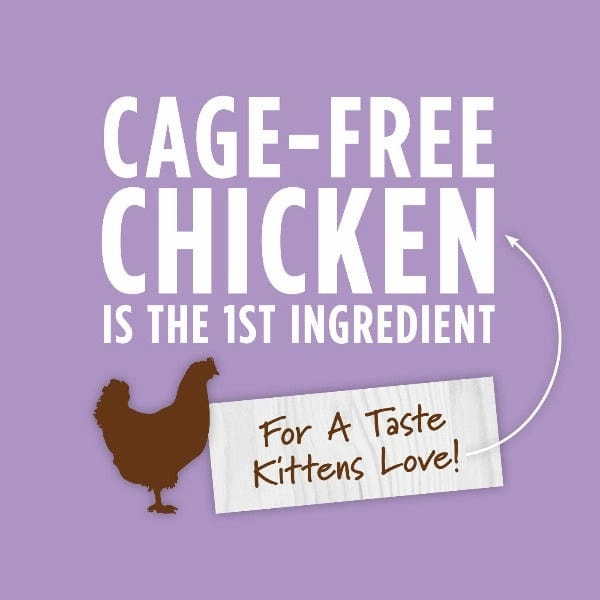 Instinct Original Real Chicken Recipe Canned Kitten Food