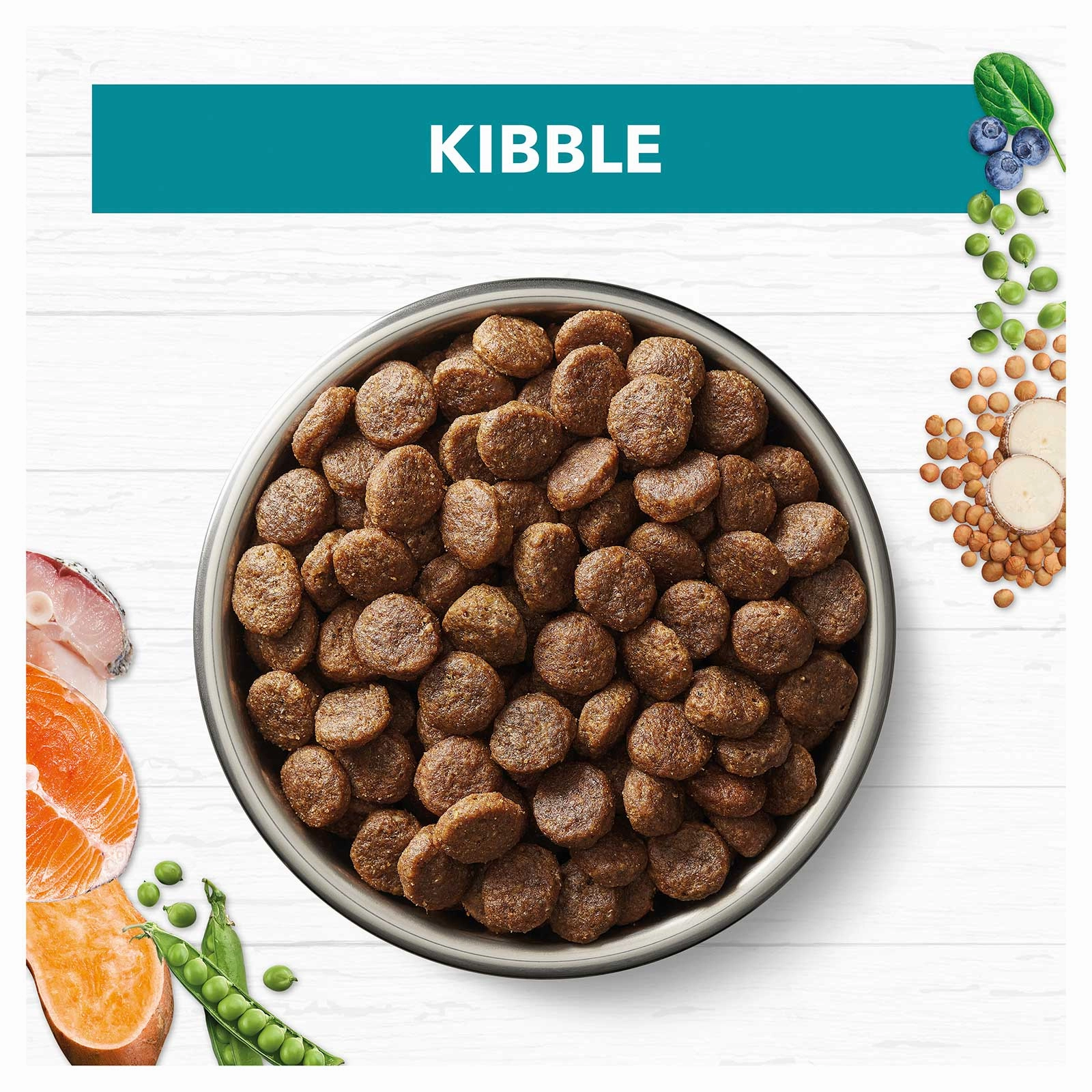 Ivory Coat Grain Free Dog Food Adult Salmon & Ocean Fish