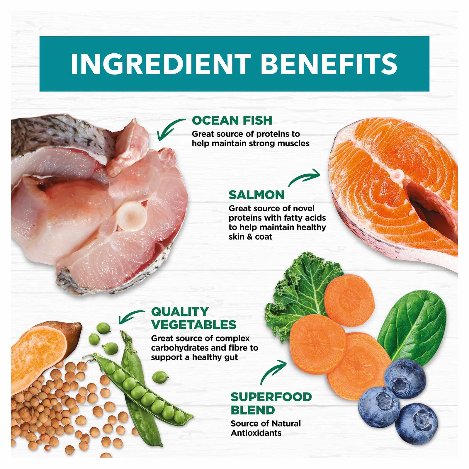 Ivory Coat Grain Free Dog Food Adult Salmon & Ocean Fish