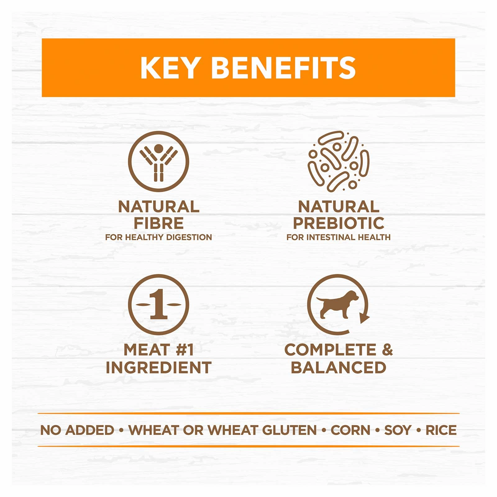 Ivory Coat Grain Free Dog Food Can Adult Chicken Stew
