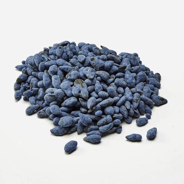 Kaytee Yo Dips Sunflower Seeds Blueberry Flavored Treat for Birds