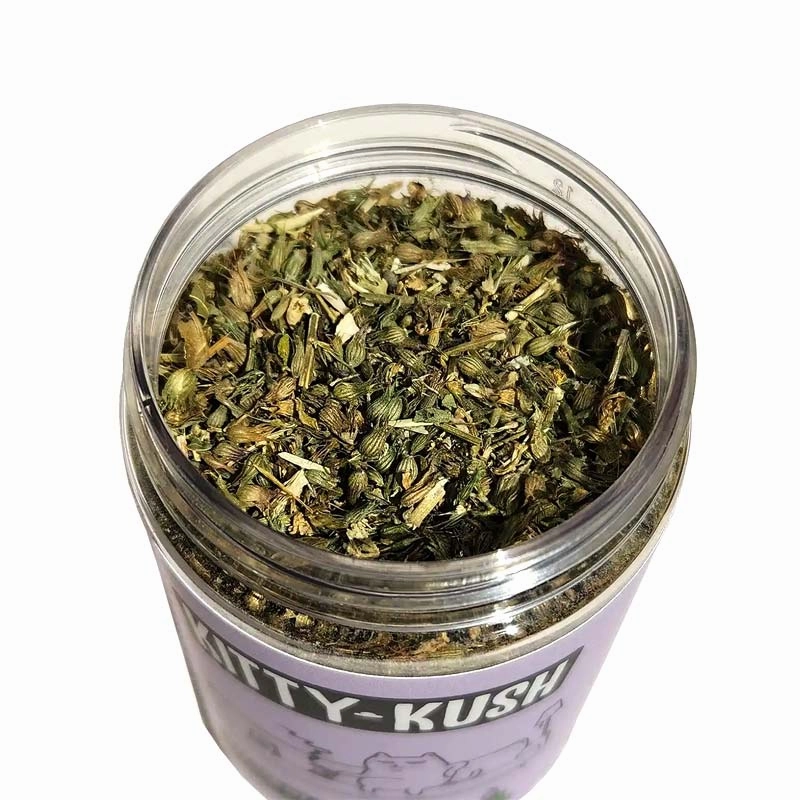 KITTY KUSH Whisker Weed Organic Catnip