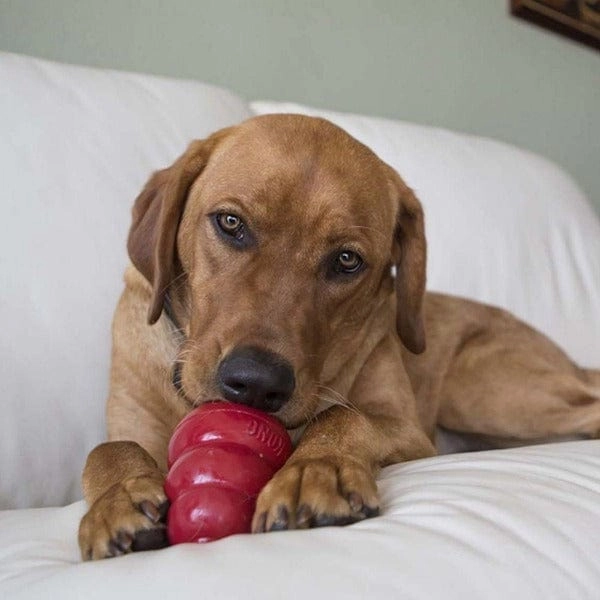 KONG Liver Dog Snacks