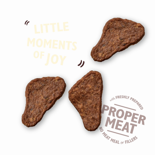 Lily's Kitchen - The Mighty Duck Mini Jerky 70g