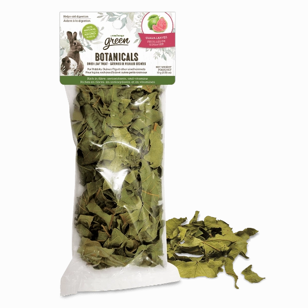 Living World Green Botanicals Dried Guava Leaves Treat