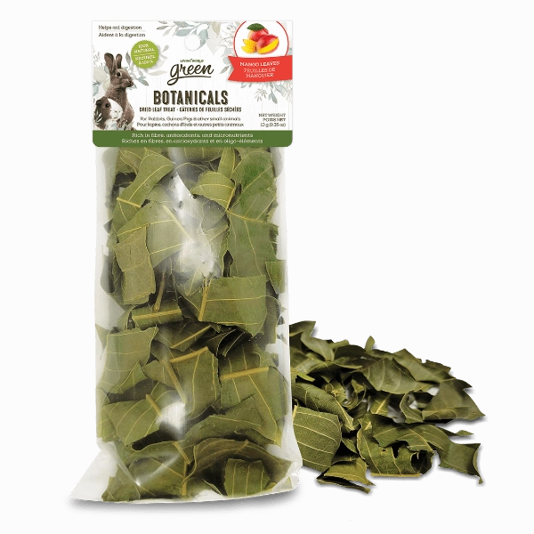 Living World Green Botanicals Dried Mango Leaves Treat