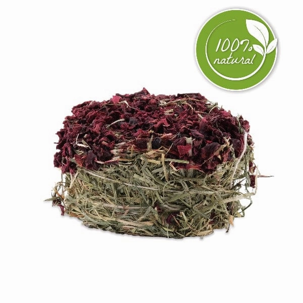 Living World Green Botanicals Hay Cake with Beet