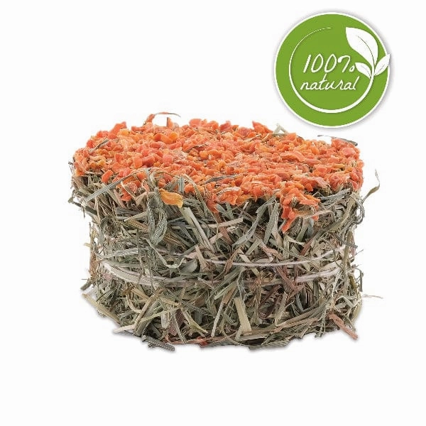 Living World Green Botanicals Hay Cake with Carrot