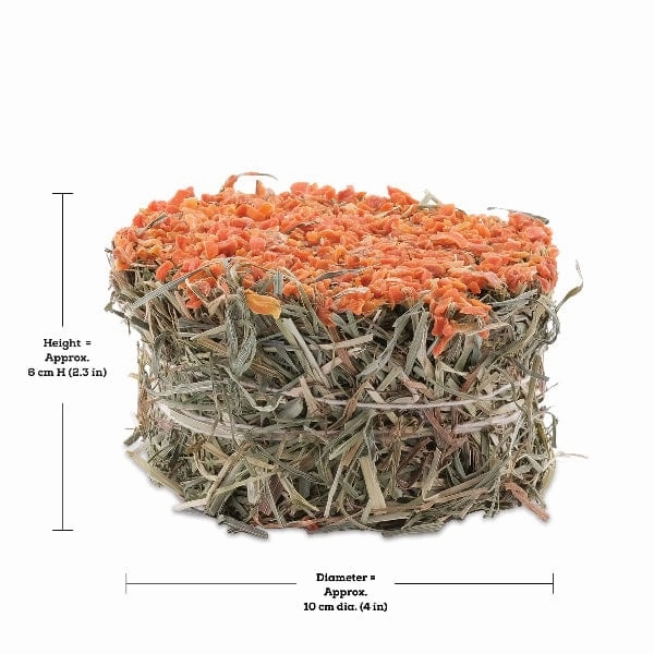 Living World Green Botanicals Hay Cake with Carrot