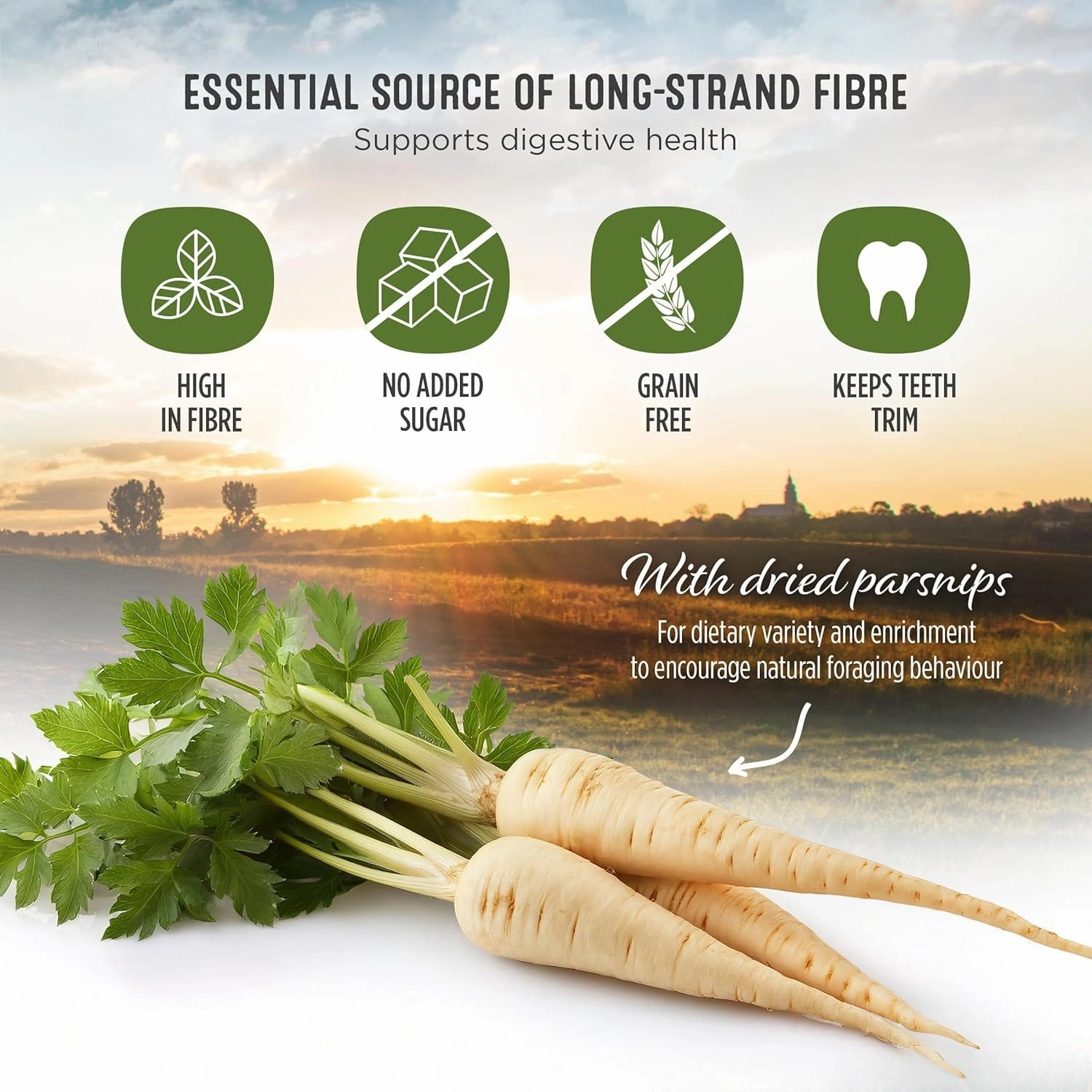 Living World Green Botanicals Hay Cake with Parsnip
