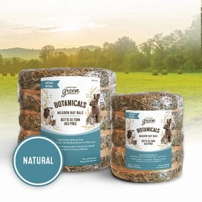 Living World Green Botanicals Meadow Hay Bale  Natural