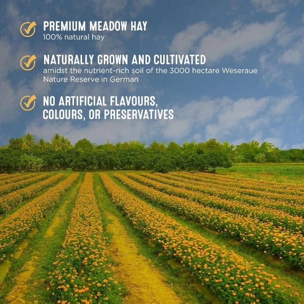 Living World Green Botanicals Meadow Hay Bale  Natural