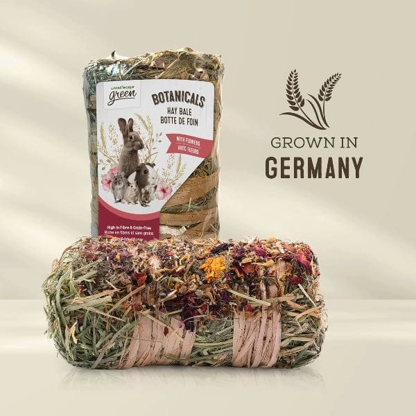 Living World Green Botanicals Meadow Hay Bale  Natural