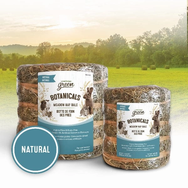 Living World Green Botanicals Meadow Hay Bale  Natural