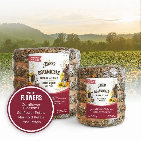 Living World Green Botanicals Meadow Hay Bale  with Flowers