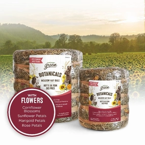 Living World Green Botanicals Meadow Hay Bale  with Flowers