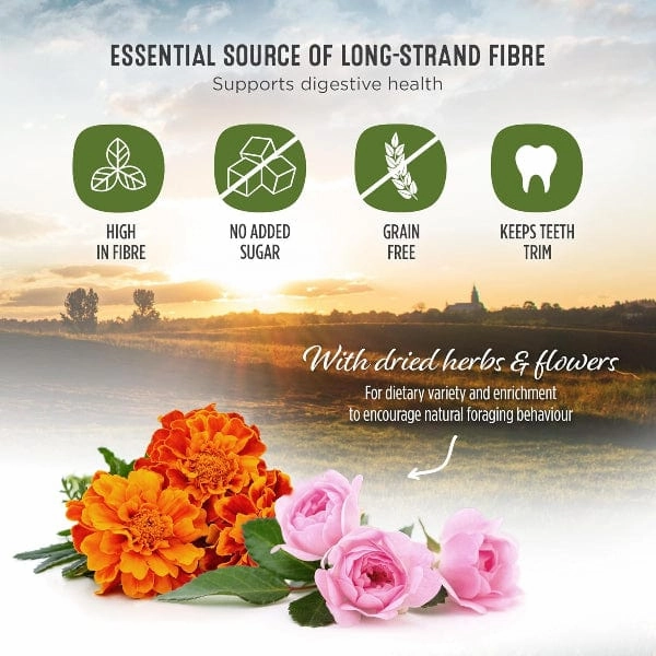 Living World Green Botanicals Meadow Hay Bale  with Flowers