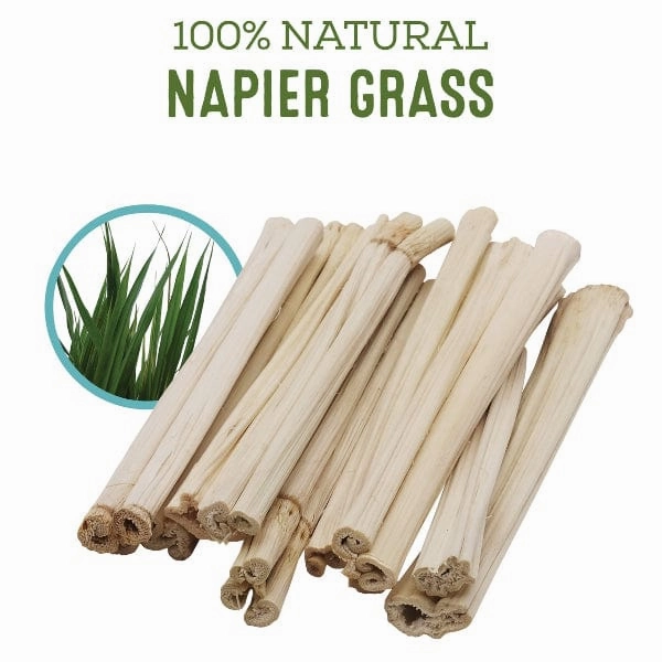 Living World Green Chews - Napier Grass Sticks