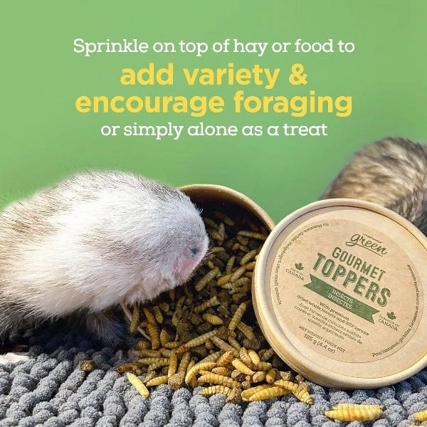 Living World Green Gourmet Toppers - Insects